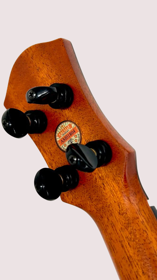 aNueNue UC200 Moonbird Concert