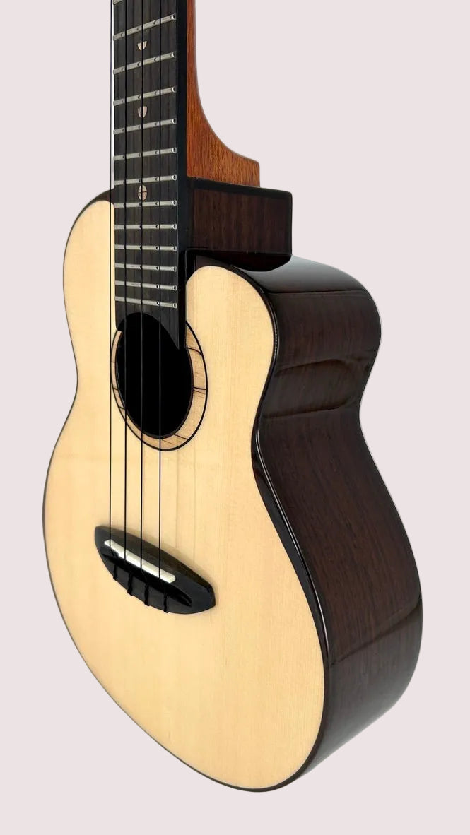 aNueNue UC200 Moonbird Concert