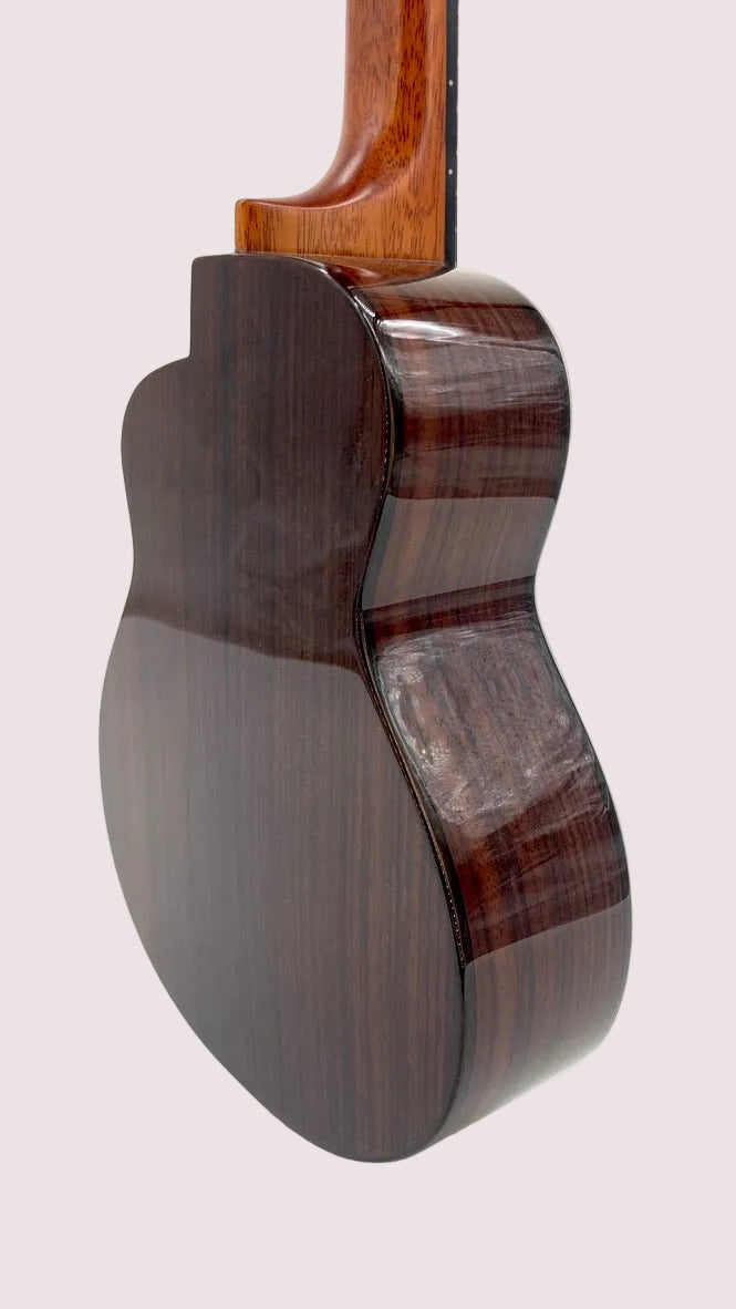 aNueNue UC200E Moonbird Concert mit Pickup