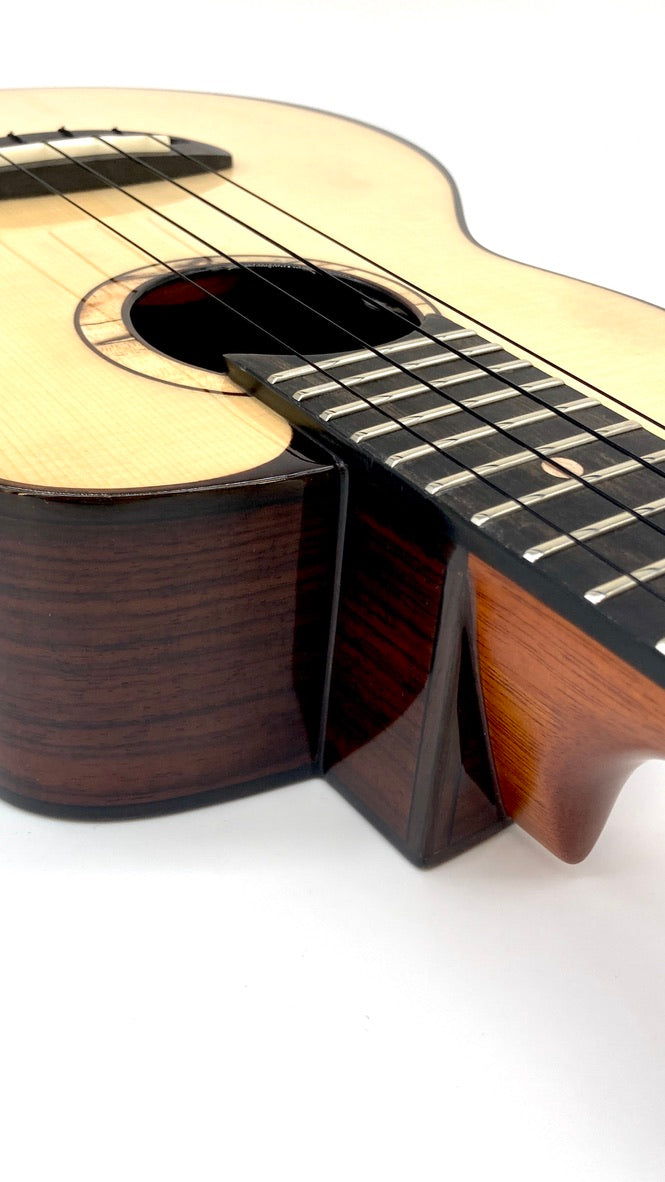 aNueNue UC200E Moonbird Concert mit Pickup