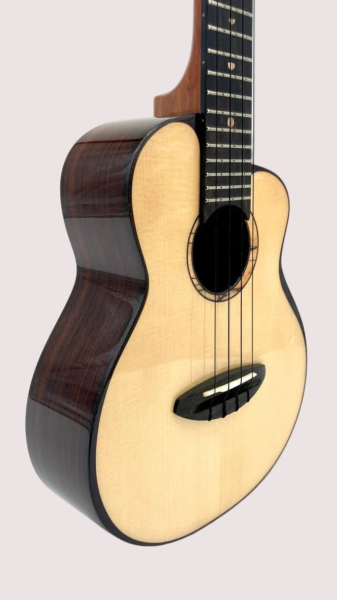 aNueNue UC200E Moonbird Concert mit Pickup