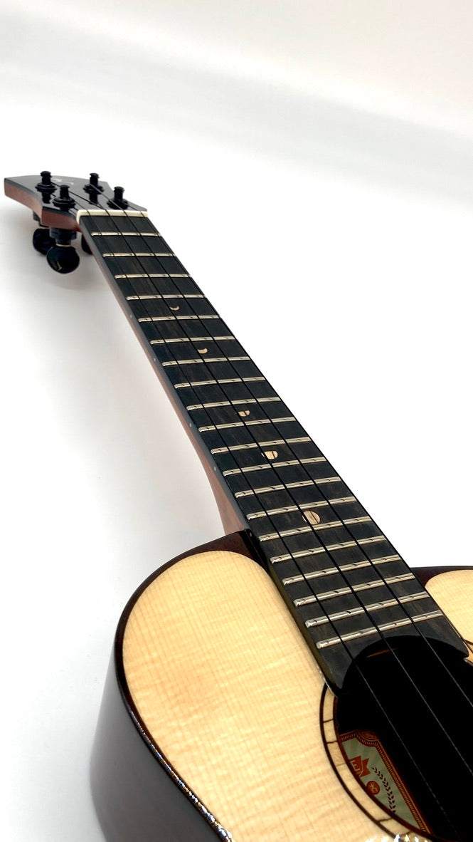 aNueNue UC200E Moonbird Concert mit Pickup