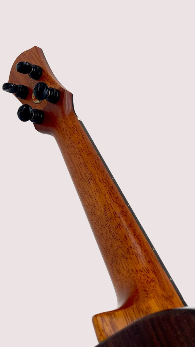 aNueNue UC200E Moonbird Concert mit Pickup