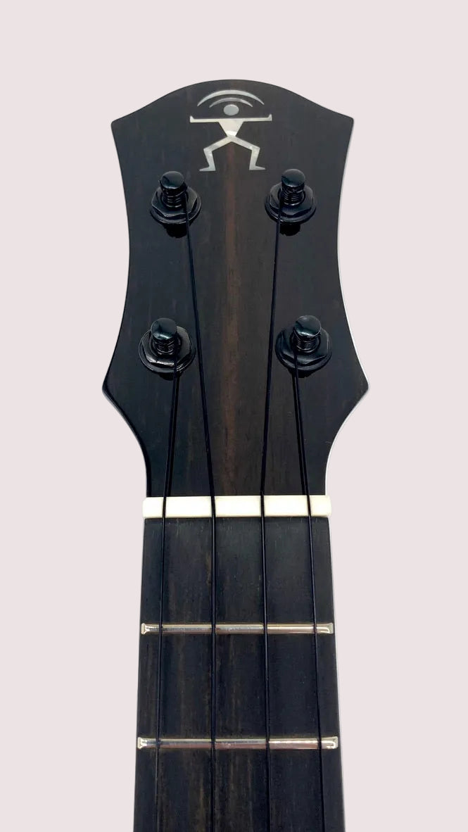 aNueNue UC200E Moonbird Concert mit Pickup
