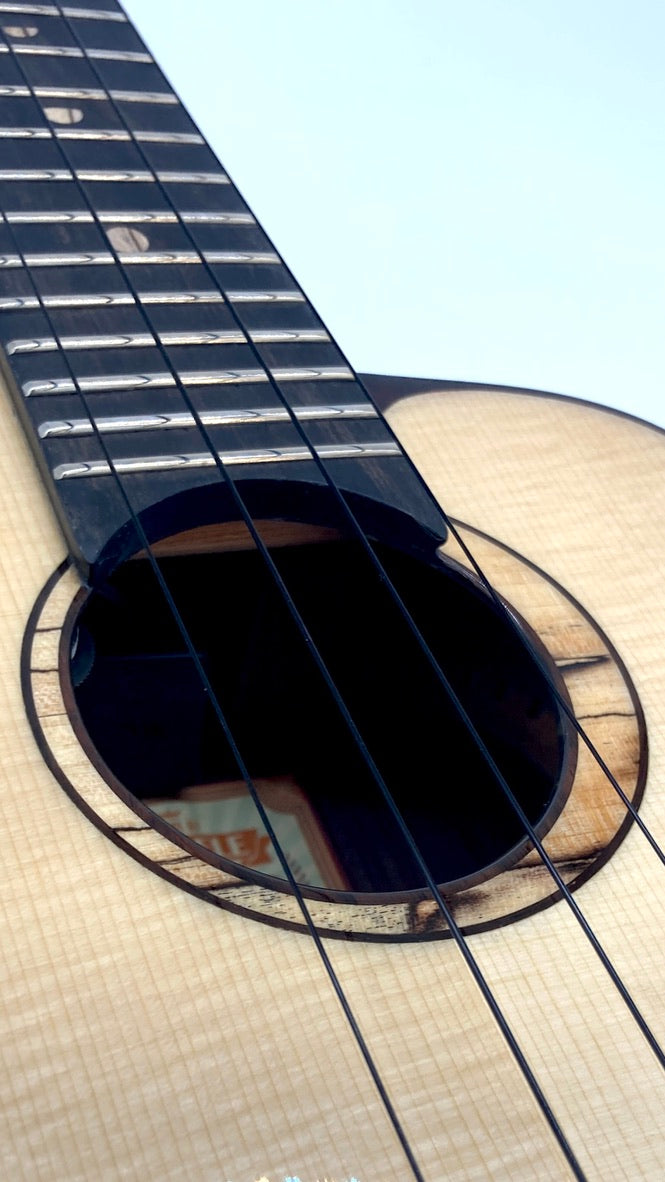 aNueNue UC200E Moonbird Concert mit Pickup