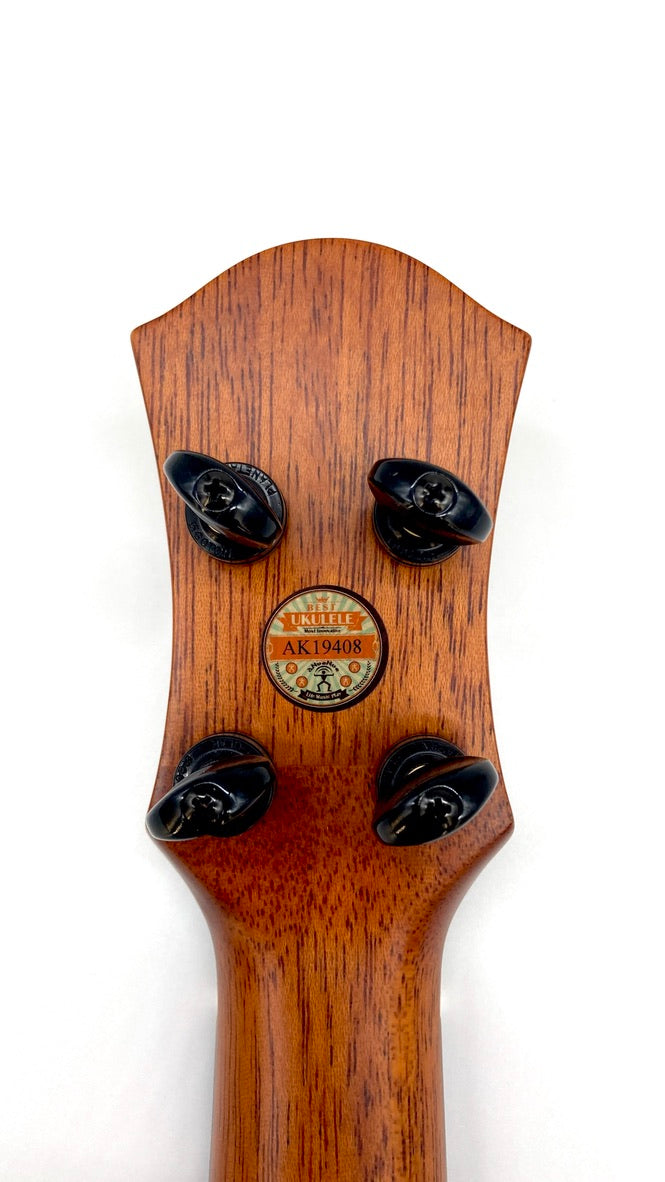 aNueNue UC200E Moonbird Concert mit Pickup