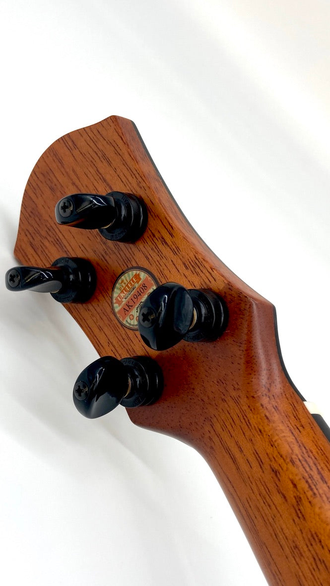 aNueNue UC200E Moonbird Concert mit Pickup