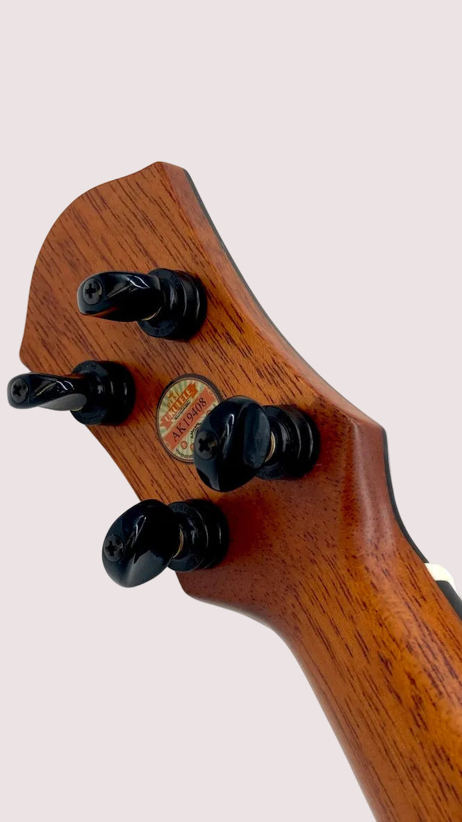 aNueNue UC200E Moonbird Concert mit Pickup