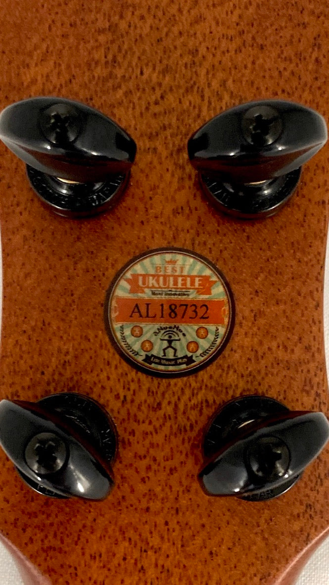 aNueNue UC214 Cedarbird Concert