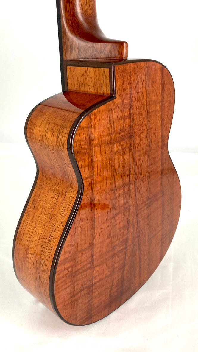 aNueNue UC3K Bird Concert