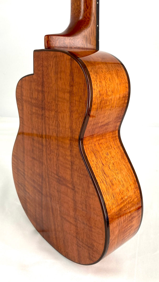 aNueNue UC3K Bird Concert