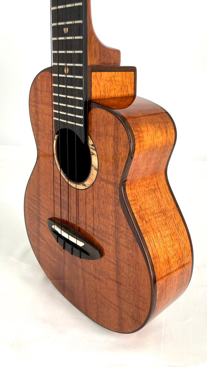 aNueNue UC3K Bird Concert