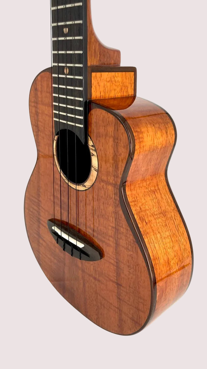 aNueNue UC3K Bird Concert