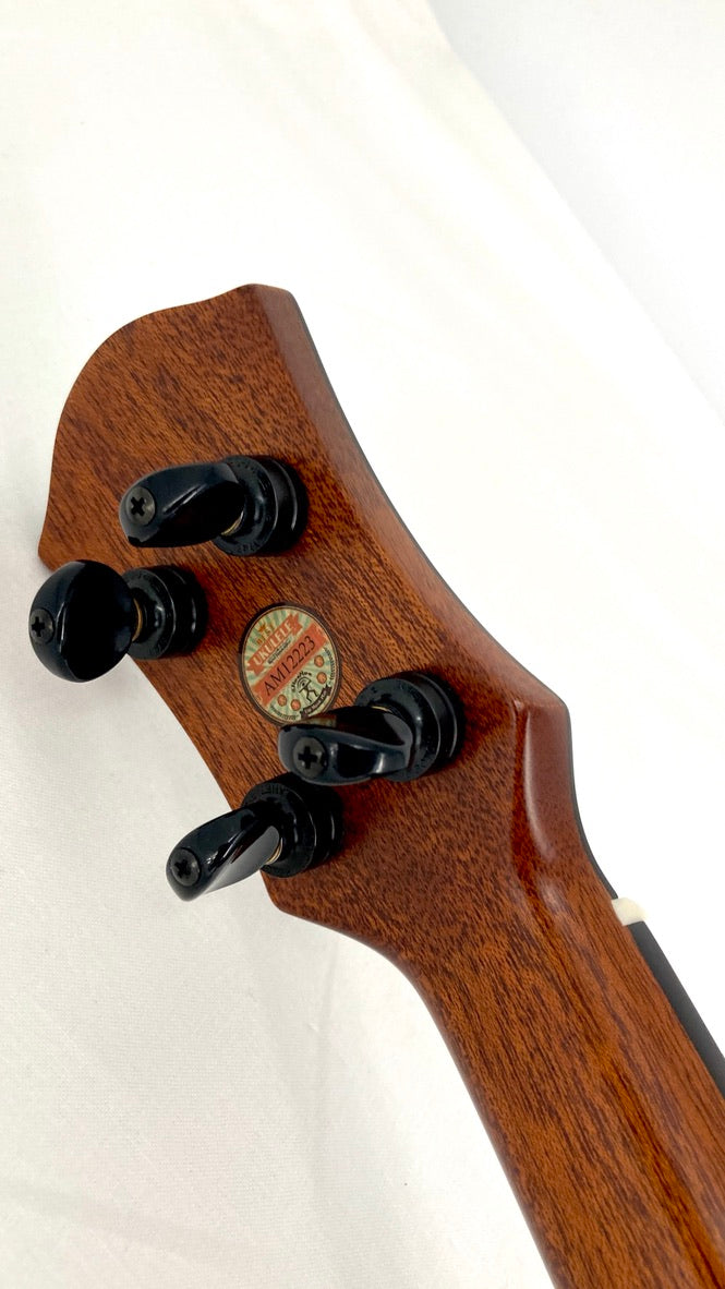 aNueNue UC3K Bird Concert