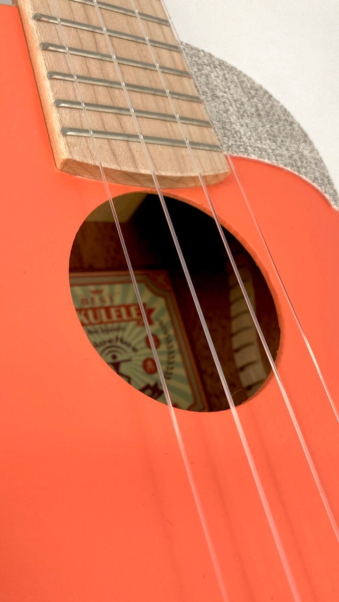 aNueNue US-10 LC Sopran