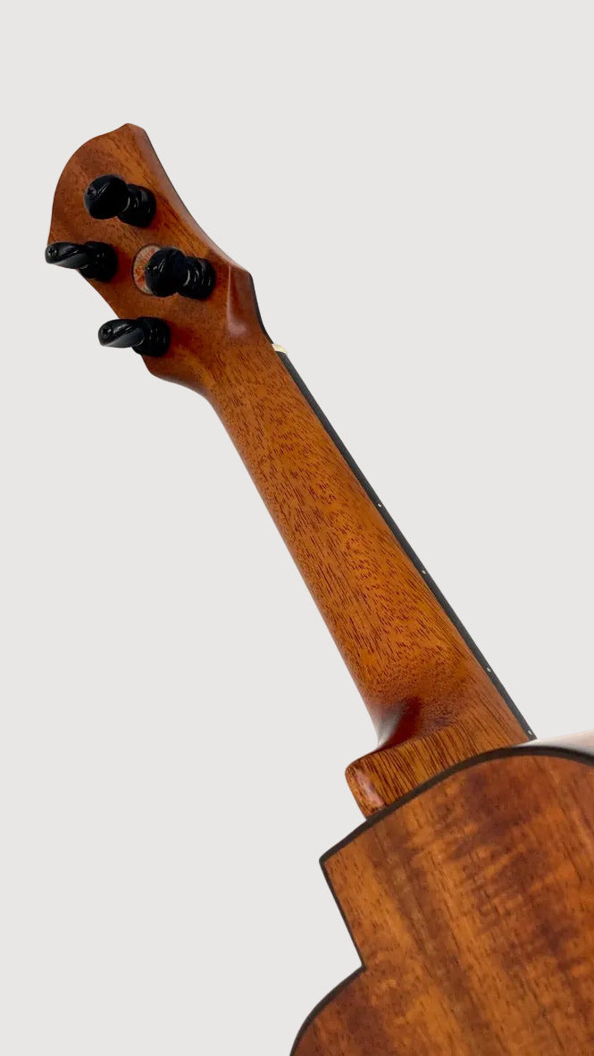 aNueNue US3K Bird Sopran