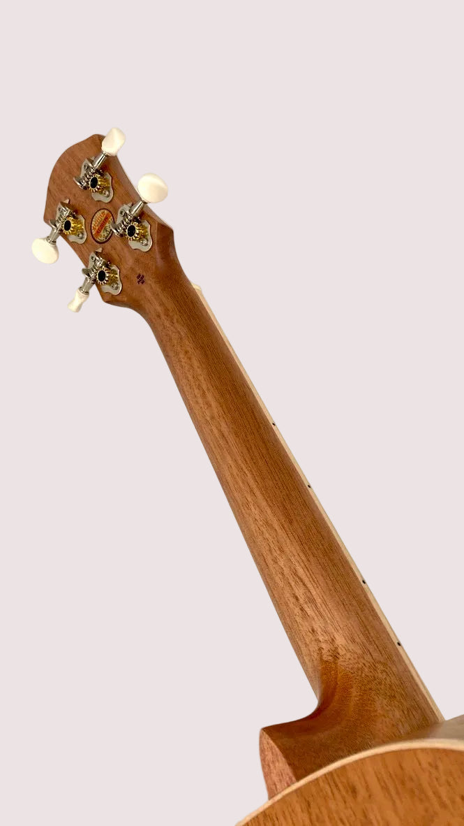 aNueNue UT-10 AM Tenor