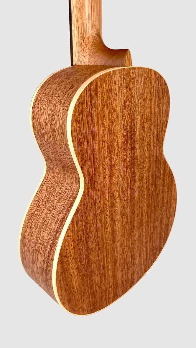 aNueNue UT-10 BB Tenor