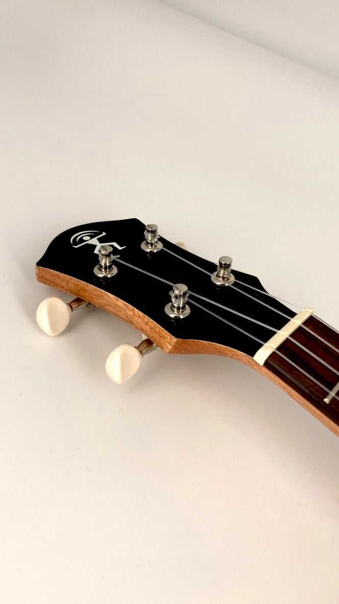 aNueNue UT-10 BB Tenor