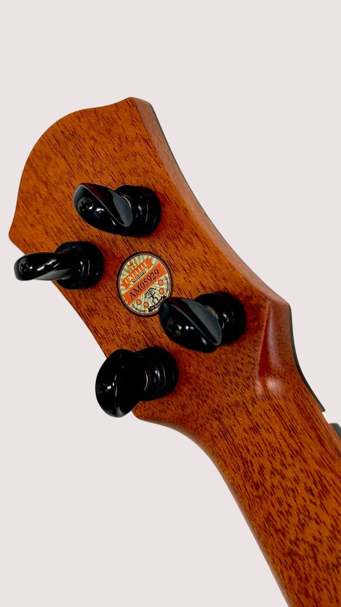 aNueNue UT200 Moonbird Tenor