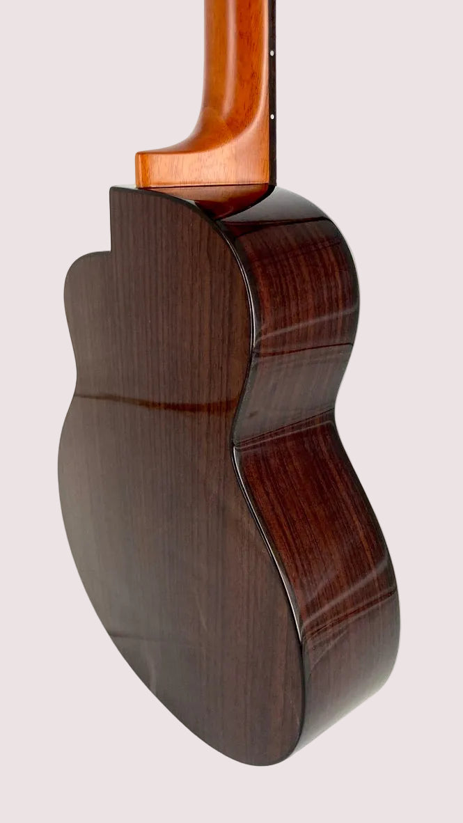 aNueNue UT200E Moonbird Tenor mit Pickup