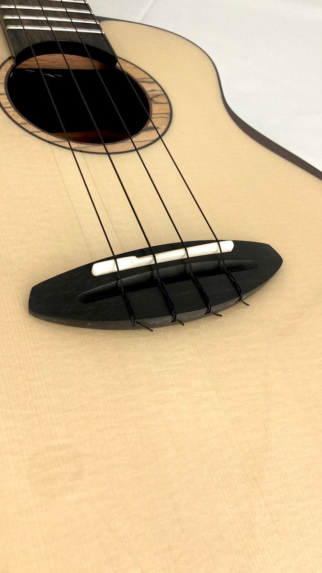 aNueNue UT200E Moonbird Tenor mit Pickup