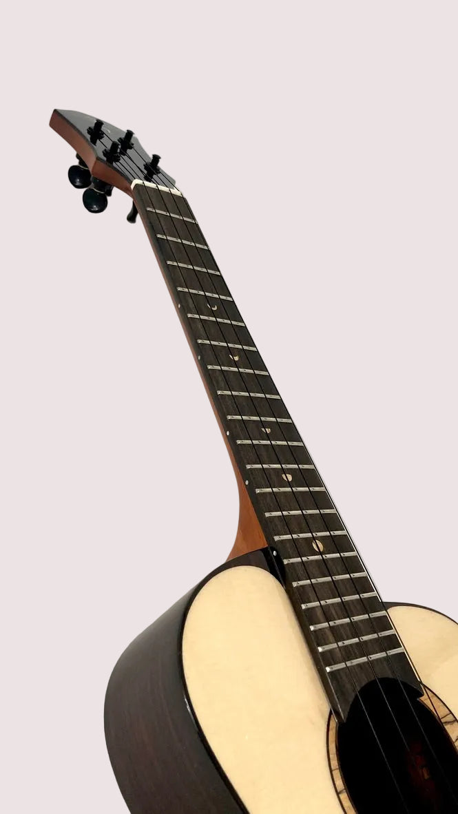 aNueNue UT200E Moonbird Tenor mit Pickup