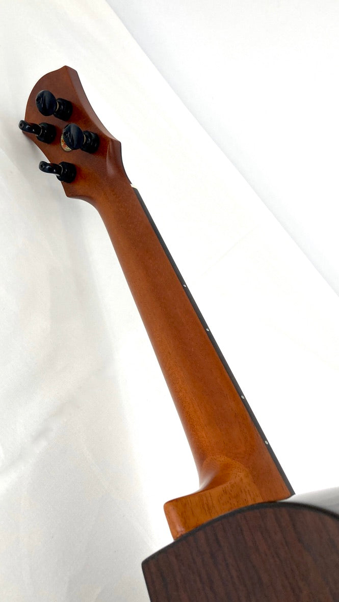 aNueNue UT200E Moonbird Tenor mit Pickup