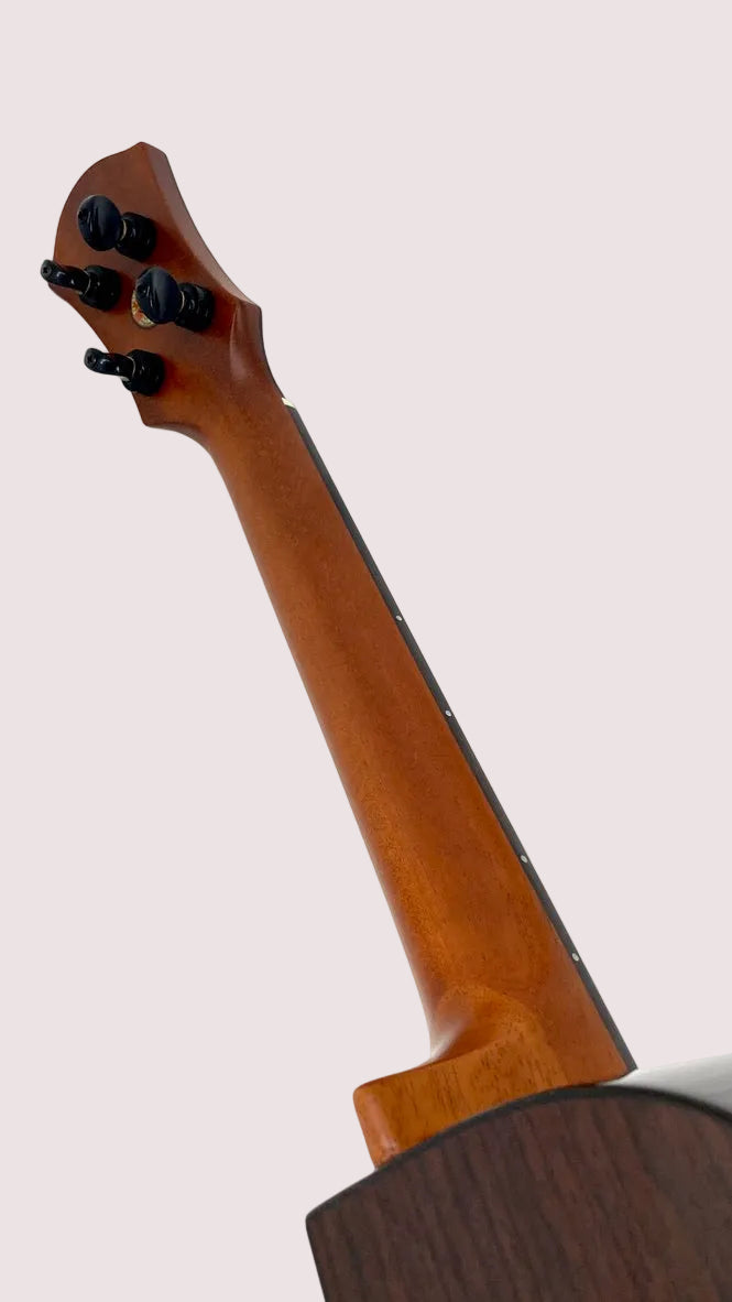 aNueNue UT200E Moonbird Tenor mit Pickup