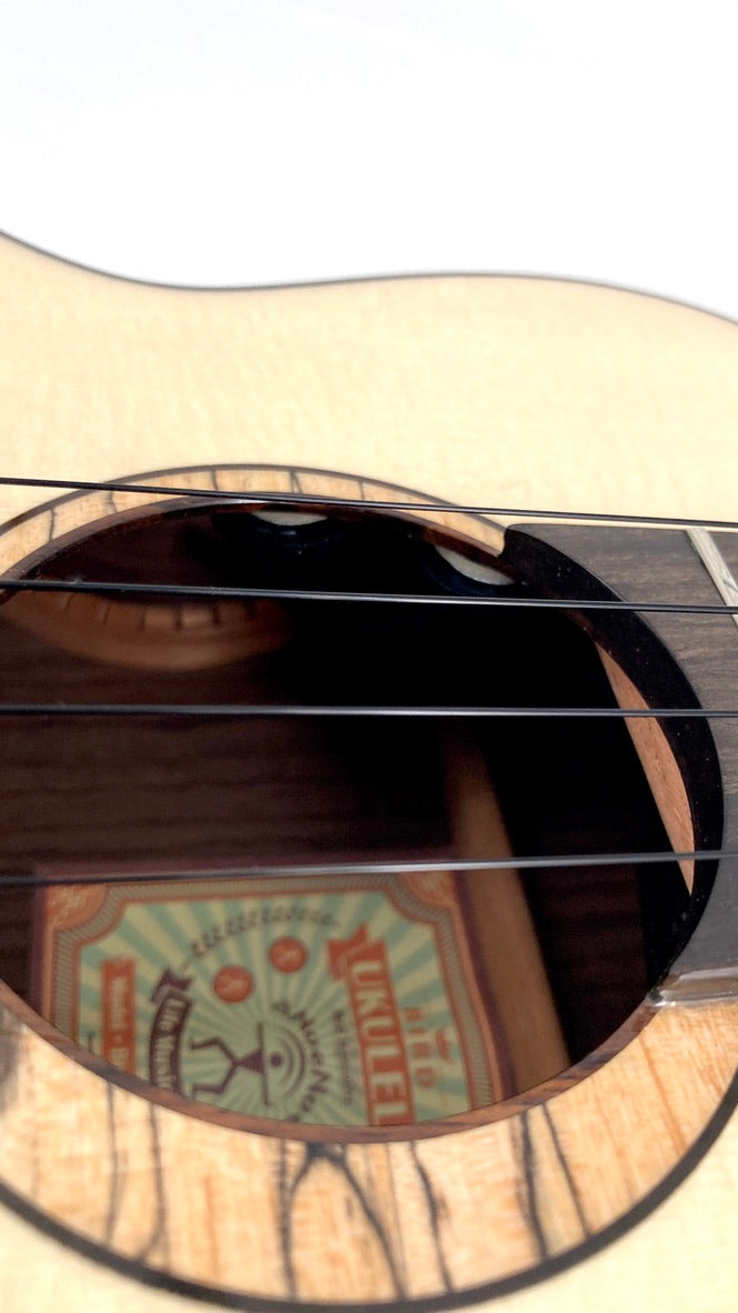 aNueNue UT200E Moonbird Tenor mit Pickup