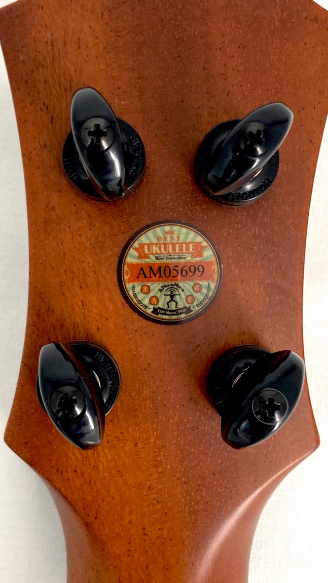 aNueNue UT200E Moonbird Tenor mit Pickup