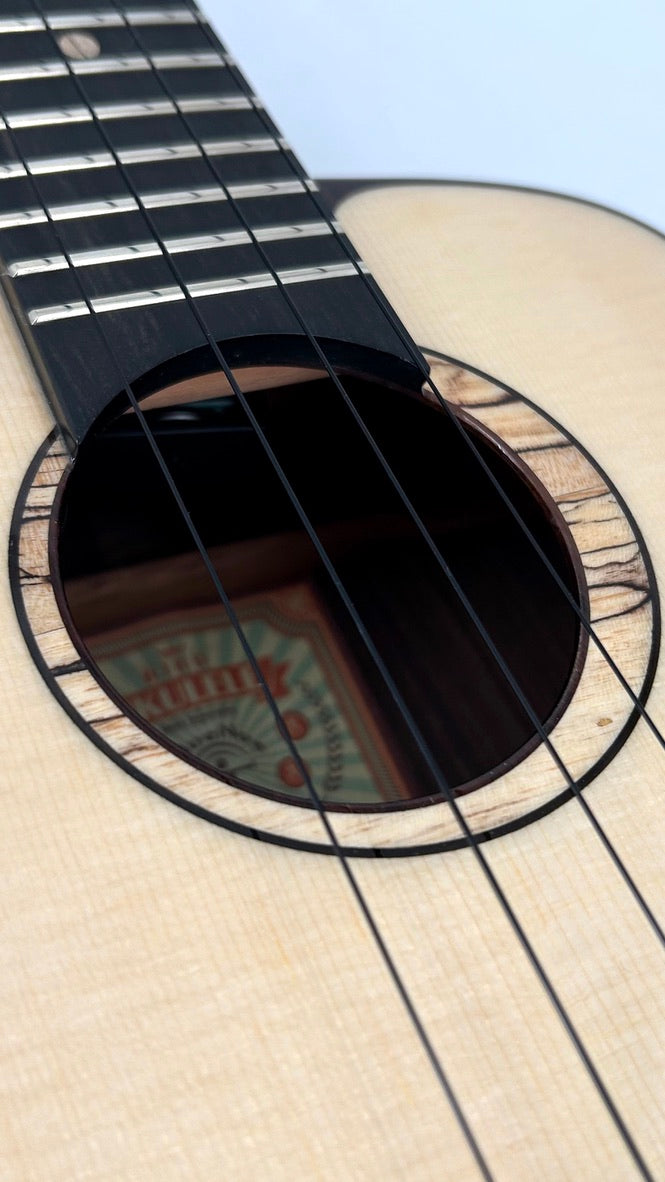 aNueNue UT200E Moonbird Tenor mit Pickup