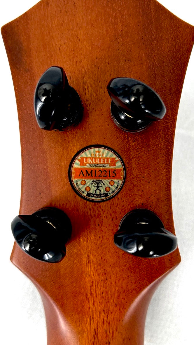 aNueNue UT200E Moonbird Tenor mit Pickup
