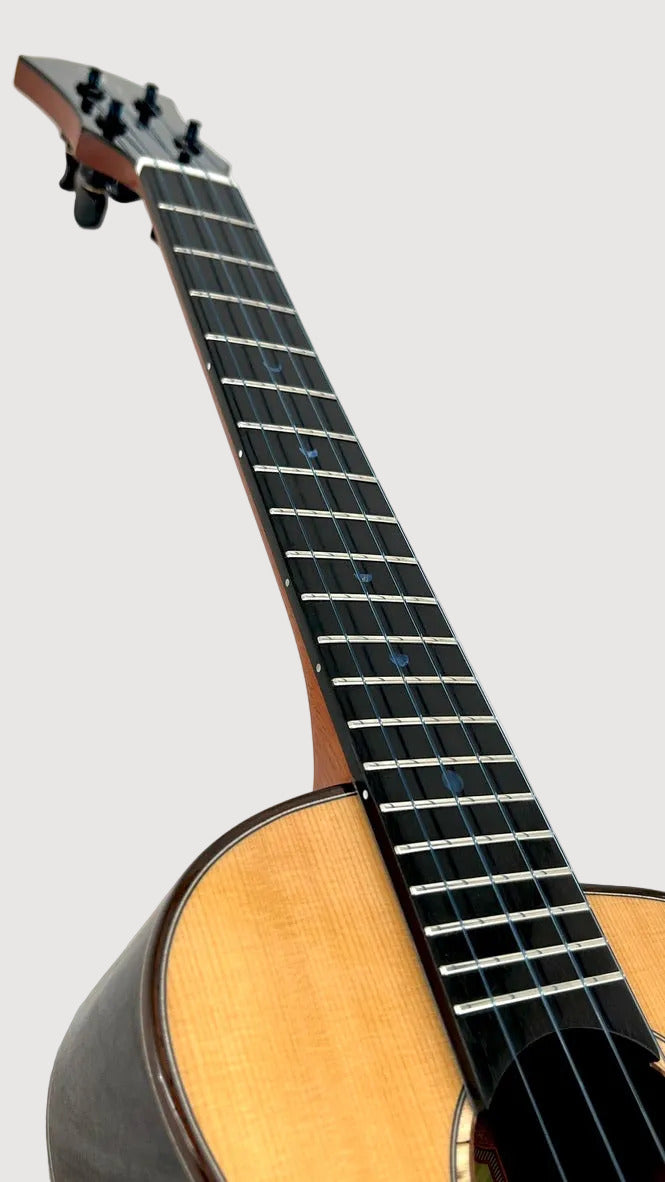 aNueNue UT330 Blue Bird Tenor