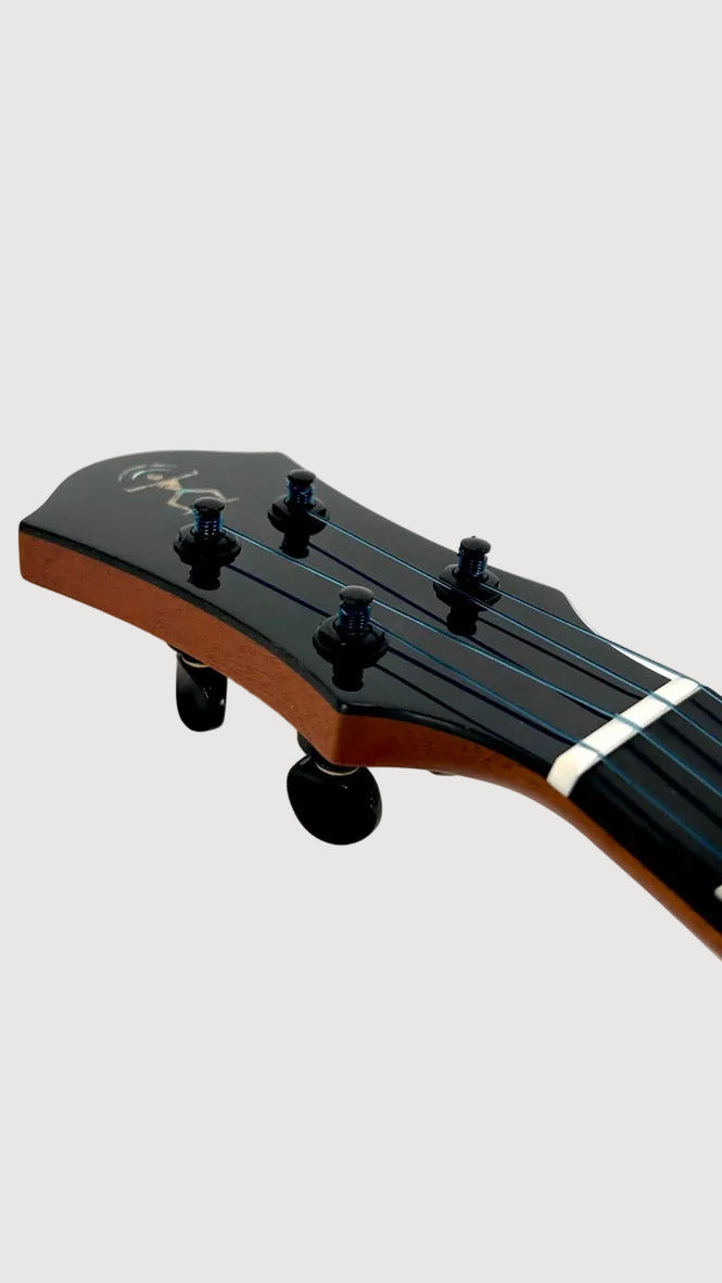 aNueNue UT330 Blue Bird Tenor