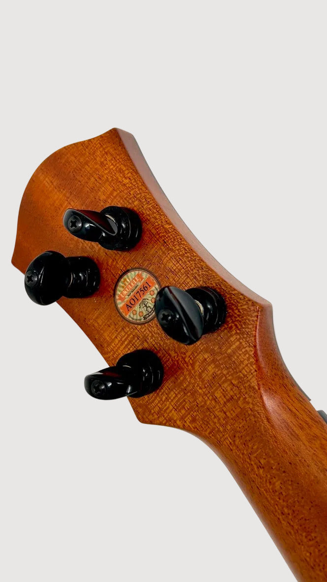 aNueNue UT330 Blue Bird Tenor