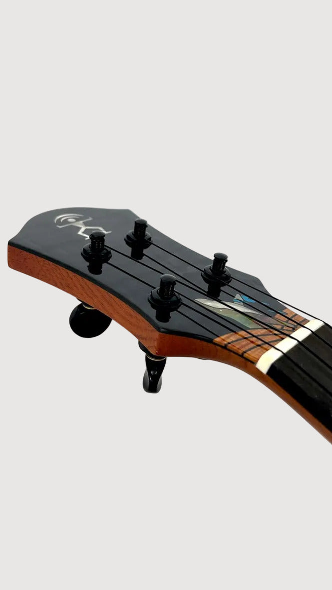 aNueNue Whale Tenor