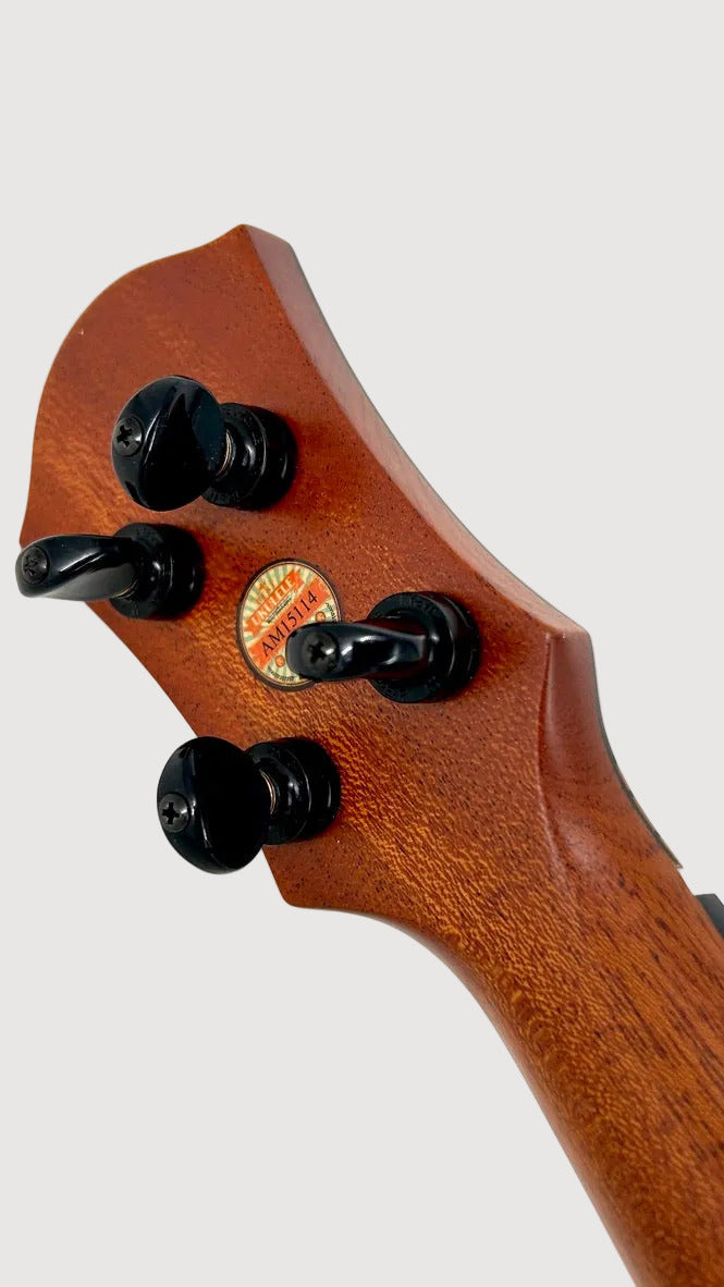 aNueNue Whale Tenor