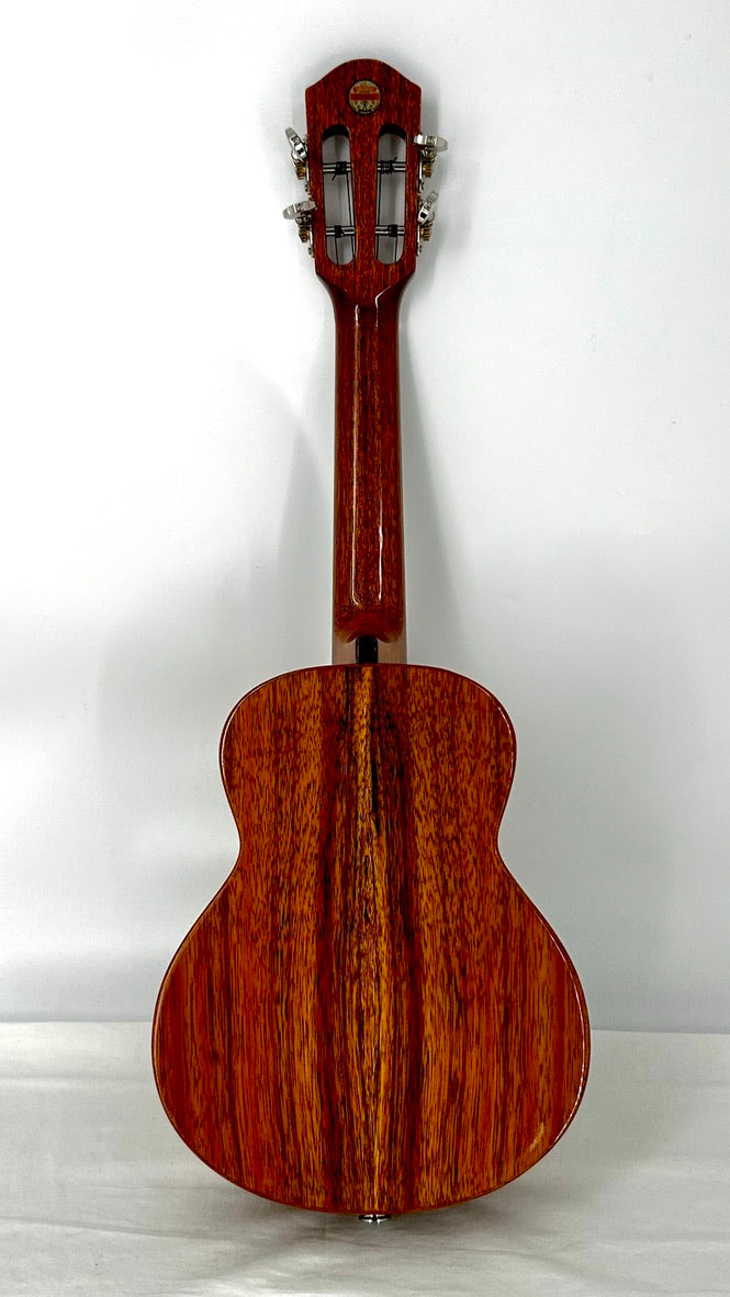 aNueNue AKK2E Concert mit Pickup