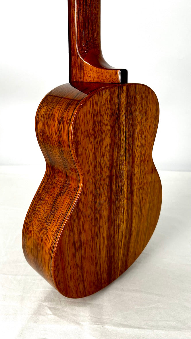 aNueNue AKK2E Concert mit Pickup