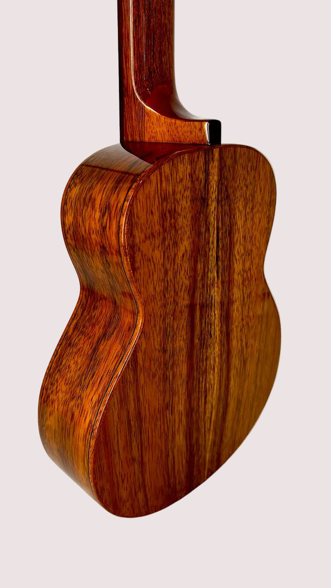 aNueNue AKK2E Concert mit Pickup