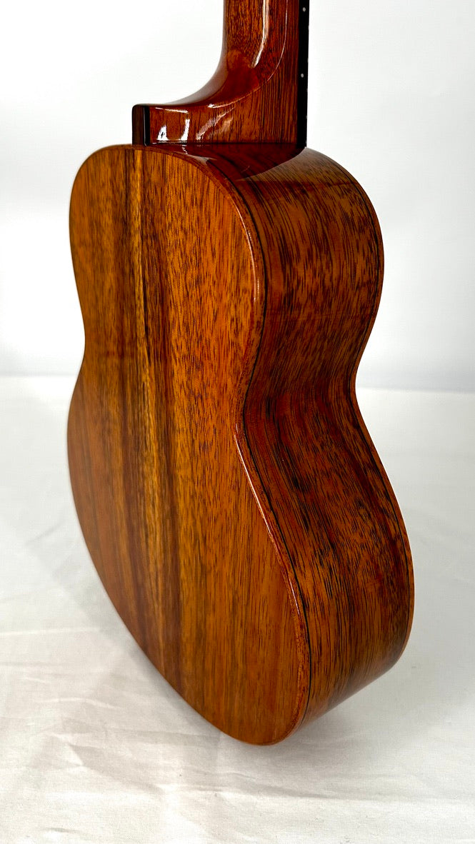 aNueNue AKK2E Concert mit Pickup