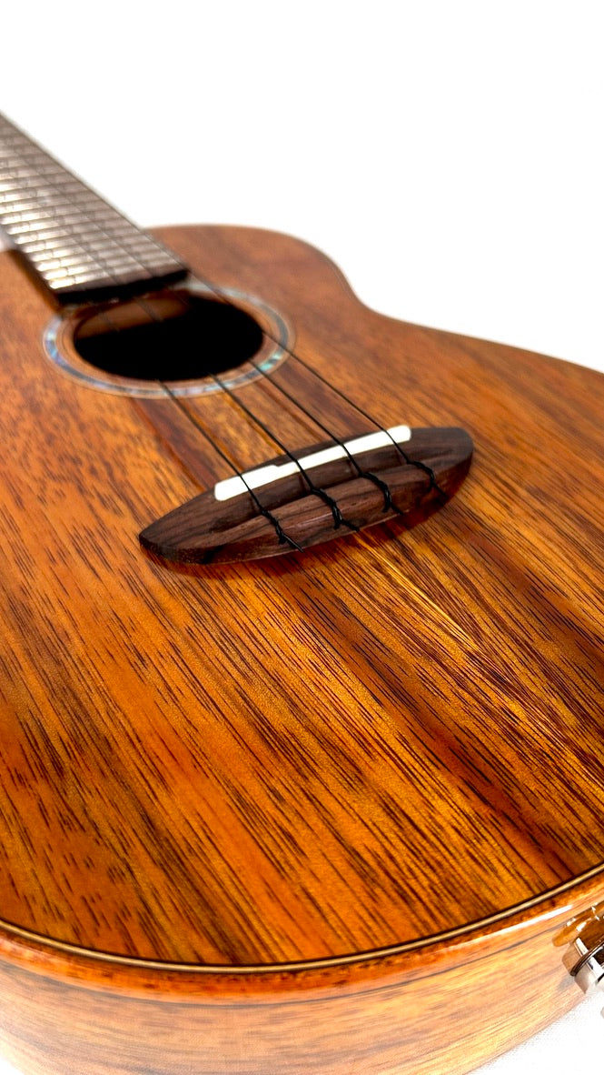 aNueNue AKK2E Concert mit Pickup