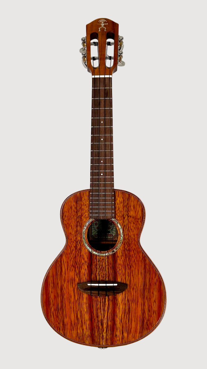 aNueNue AKK2E Concert mit Pickup