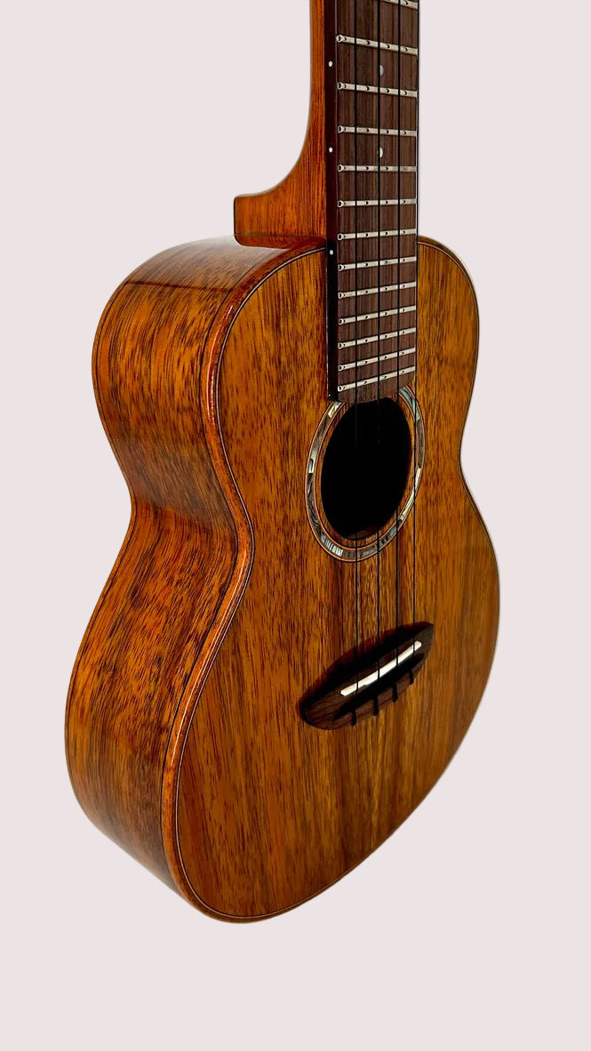 aNueNue AKK2E Concert mit Pickup