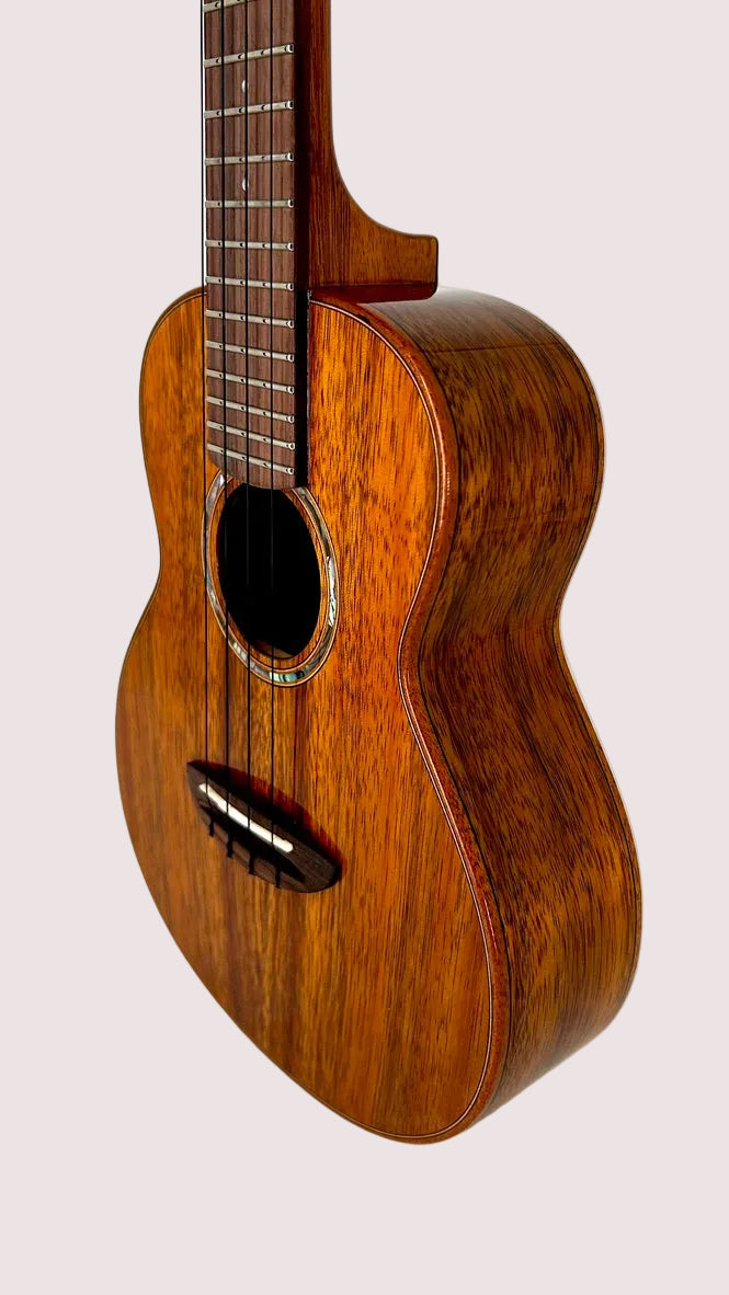 aNueNue AKK2E Concert mit Pickup