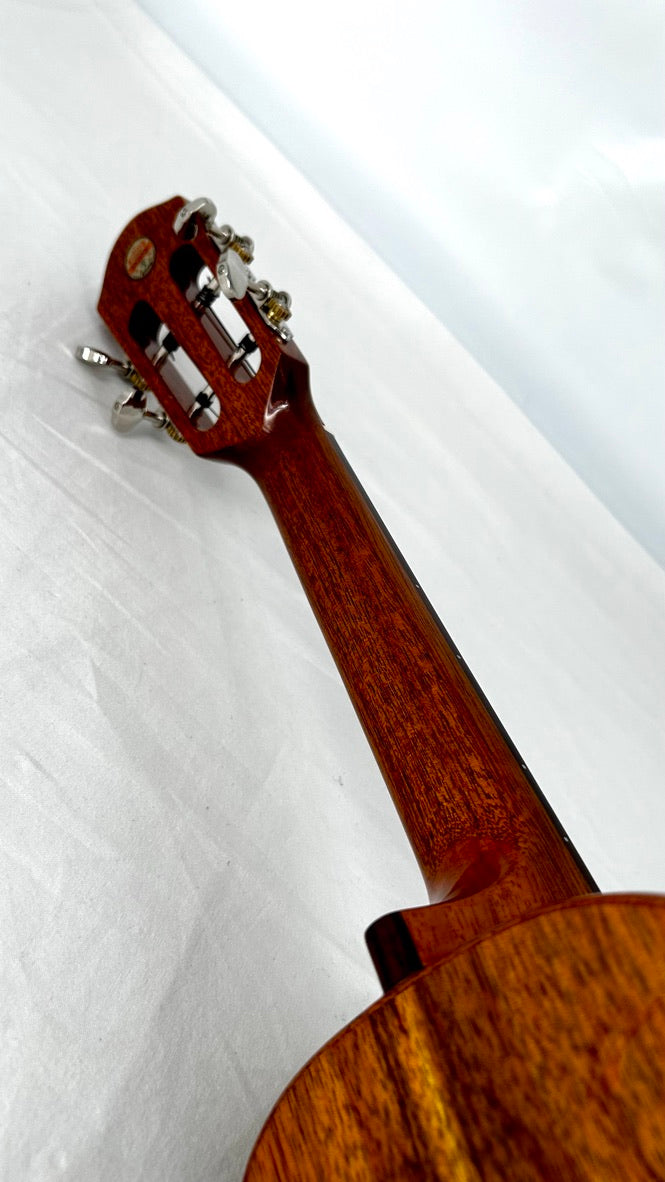 aNueNue AKK2E Concert mit Pickup