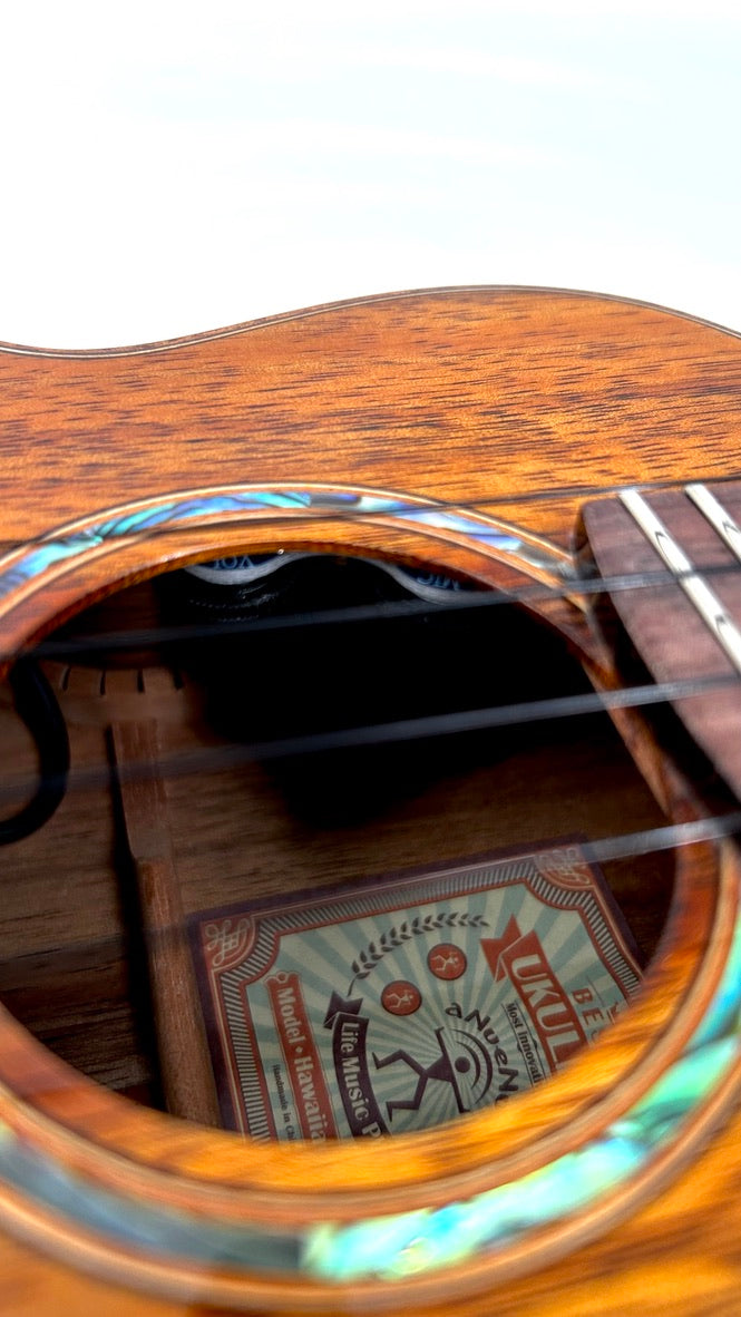 aNueNue AKK2E Concert mit Pickup