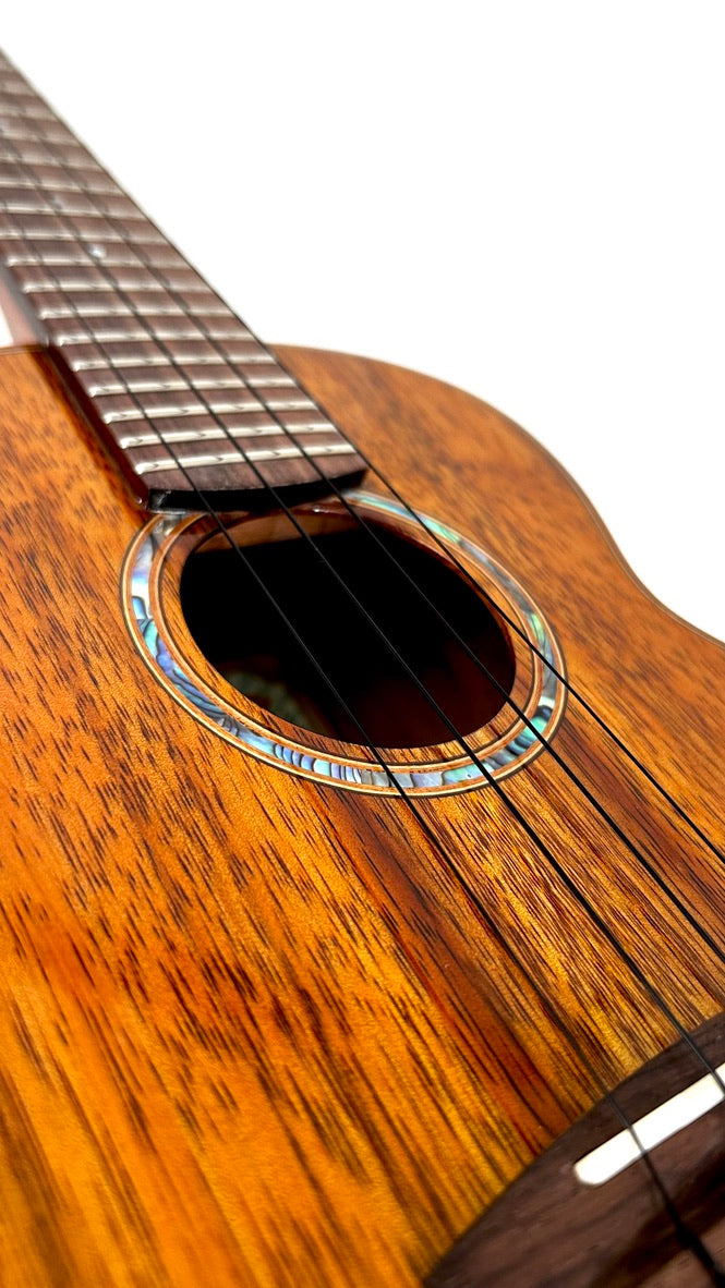 aNueNue AKK2E Concert mit Pickup