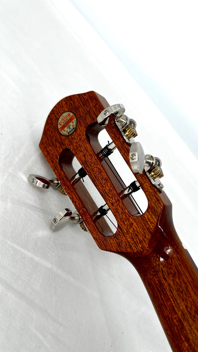 aNueNue AKK2E Concert mit Pickup